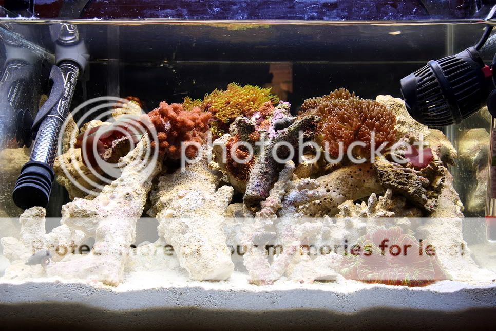 fts11-4-09.jpg