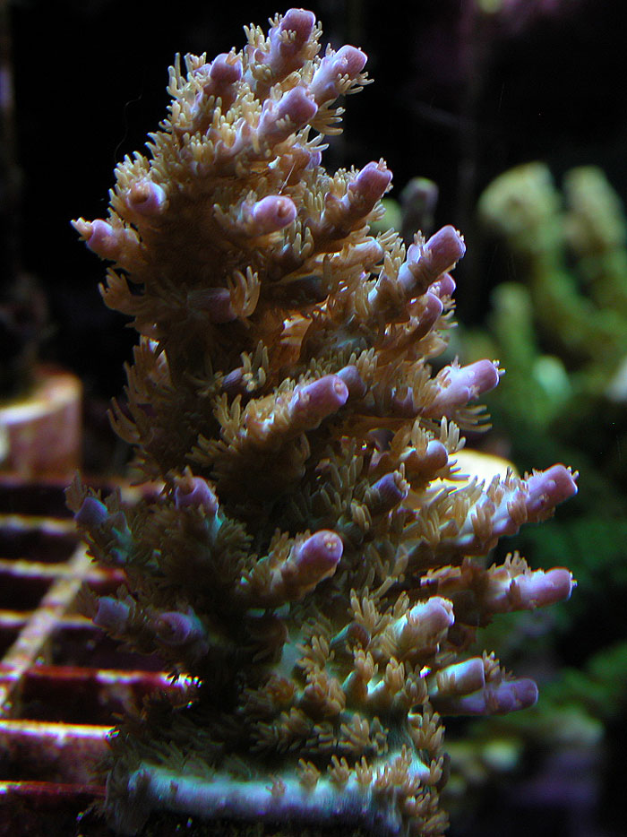 3312364891_2c6953dcdd_o.jpg