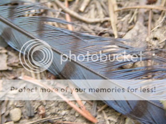 DSCN3978.jpg