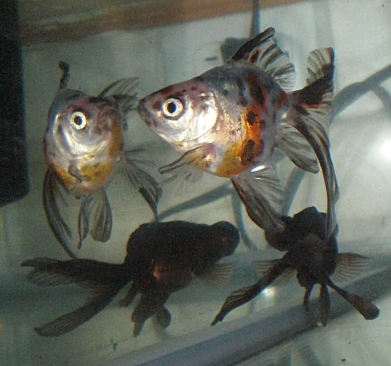 020110014.jpg