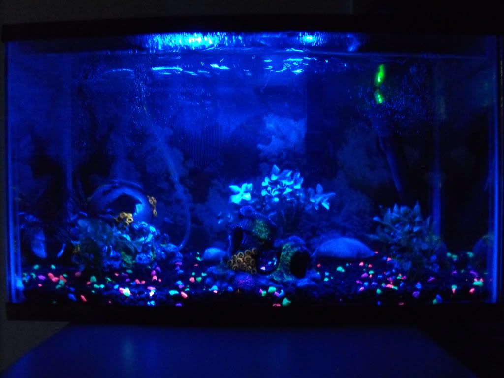 DSCF2580.jpg
