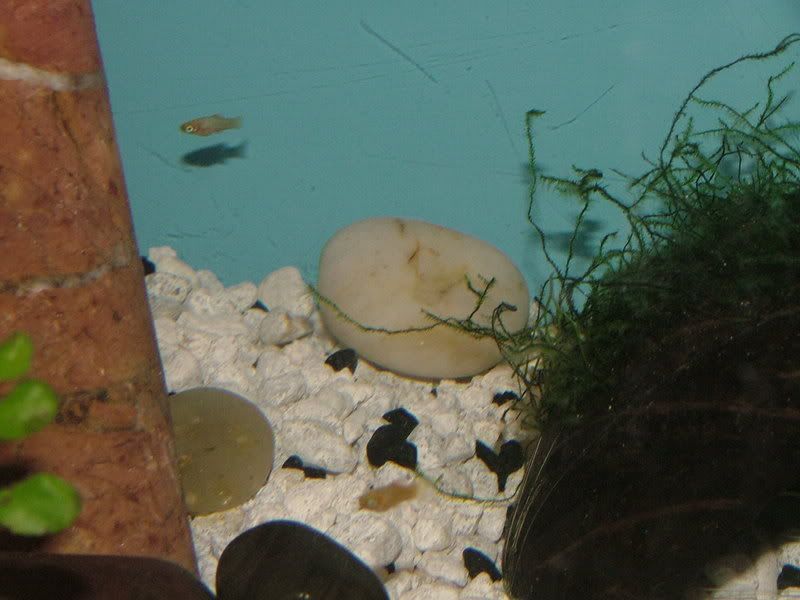 DSCF8112.jpg