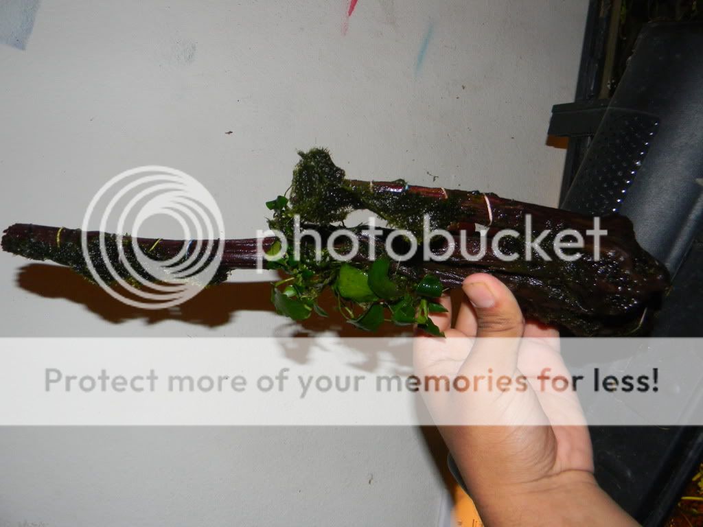 DSCN6969.jpg