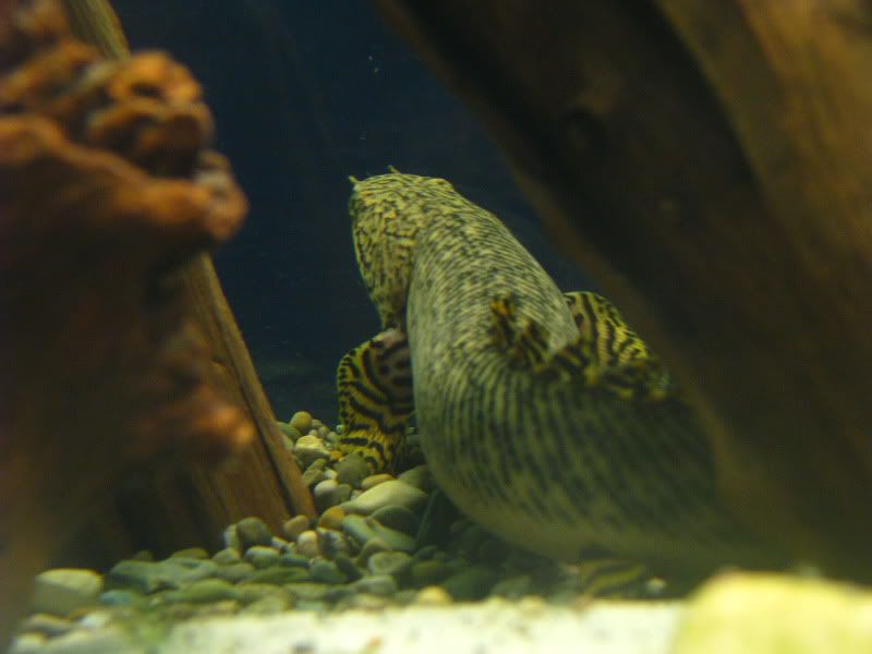 IMG_3587.jpg