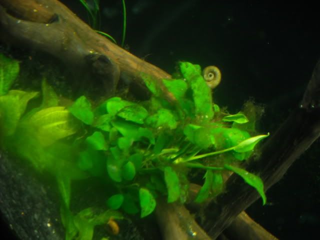 DSCN2781.jpg