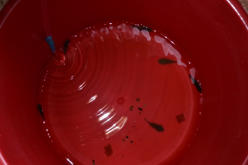 DSC_0448.jpg