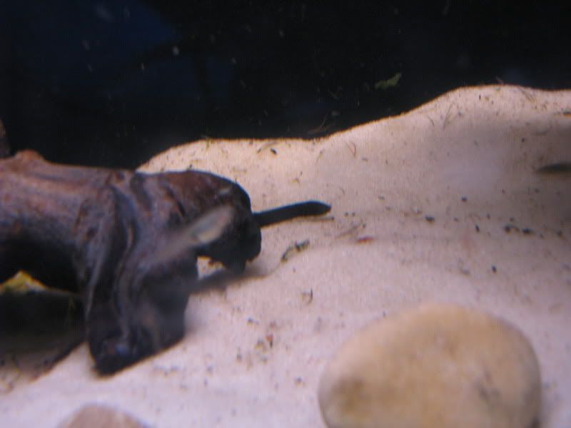 IMG_1173.jpg