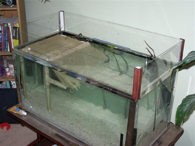 100_0614Small.jpg