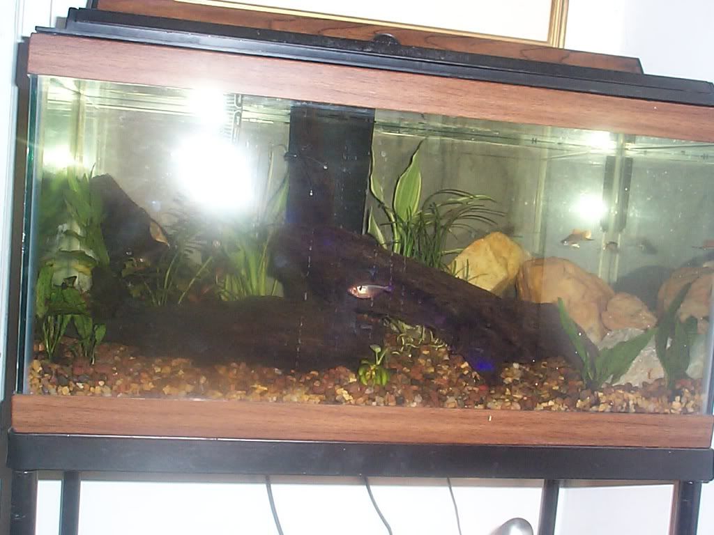 P0000005-1.jpg