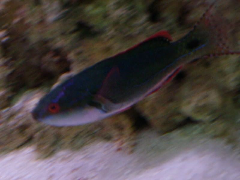 DSC00150.jpg