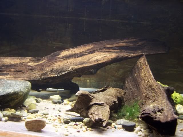 Picture010.jpg