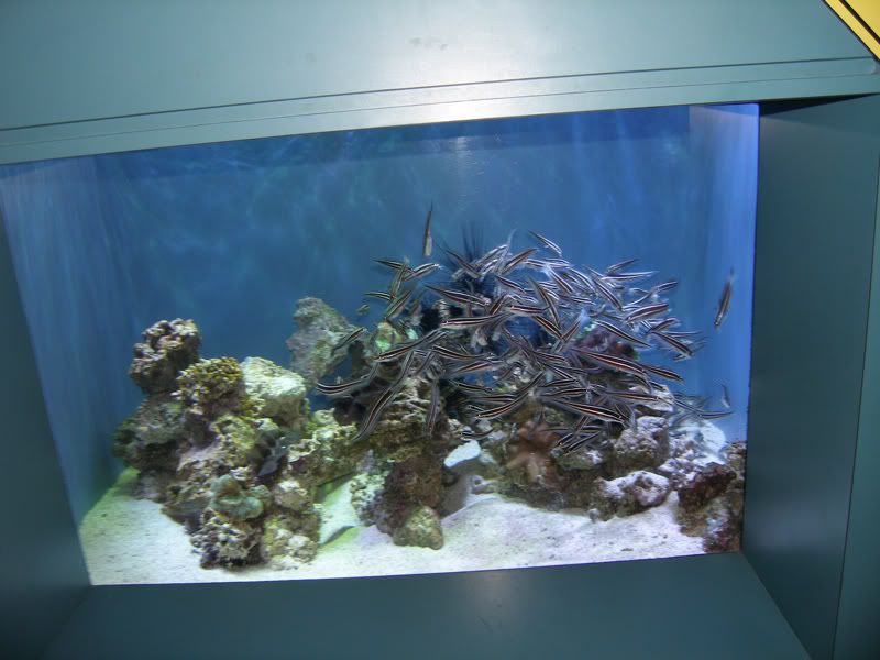 P4180234.jpg