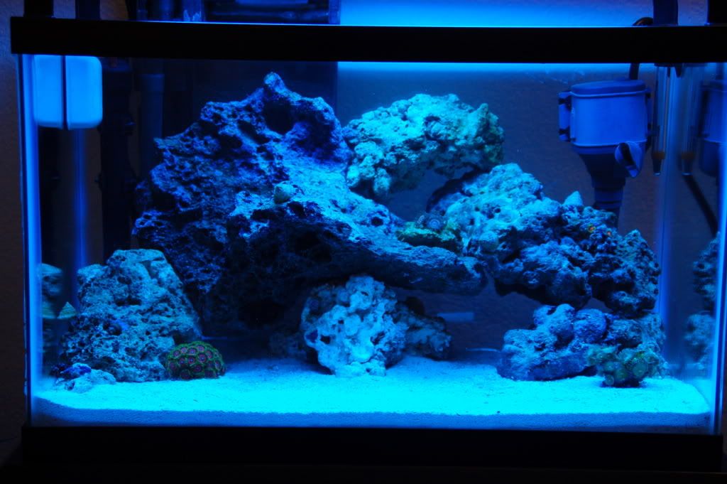 DSC_0018-Copy.jpg