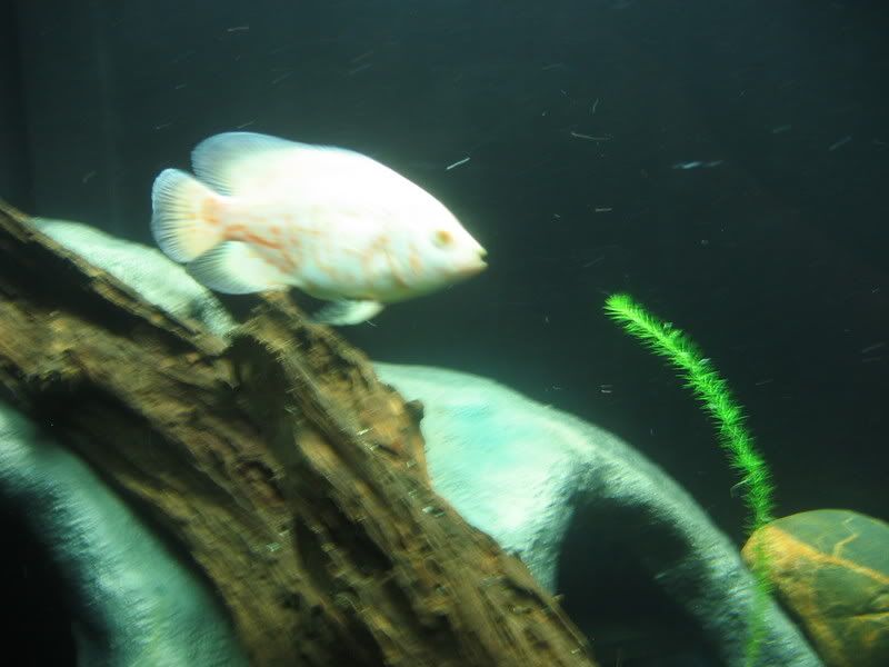 IMG_0048.jpg