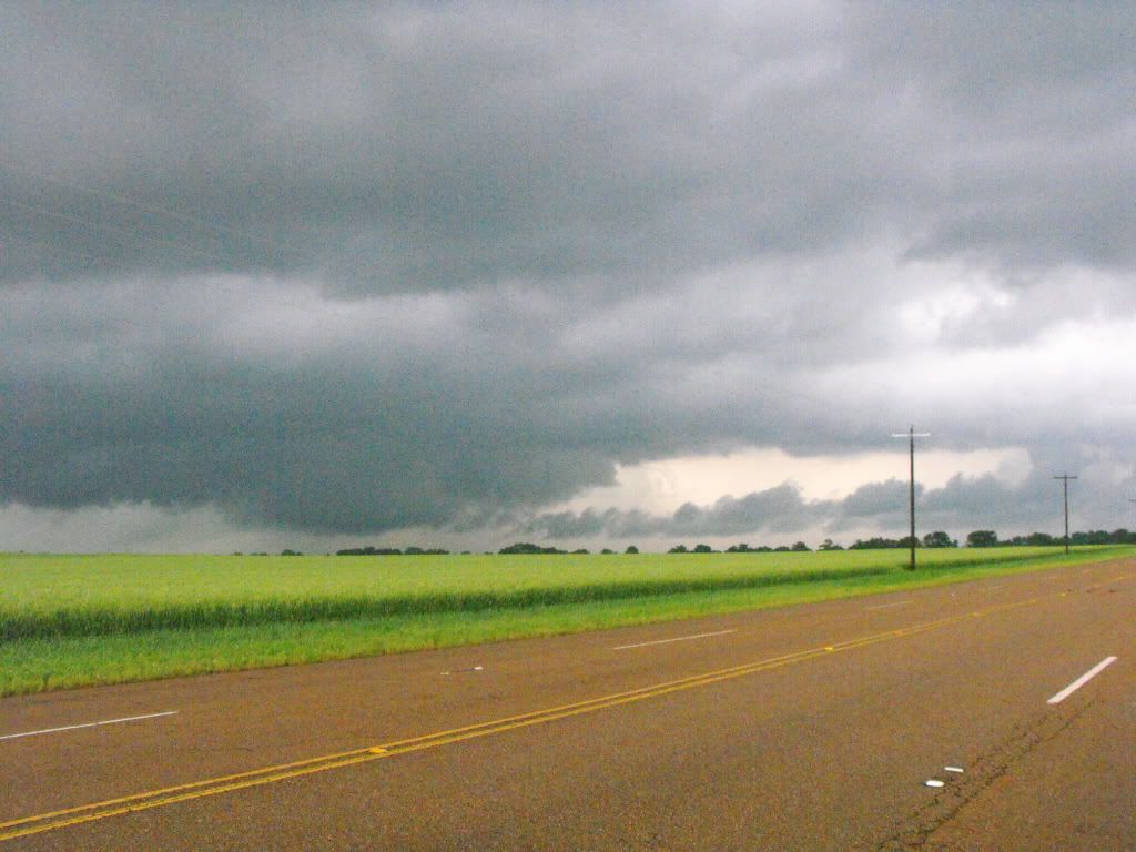 DSCF7334.jpg