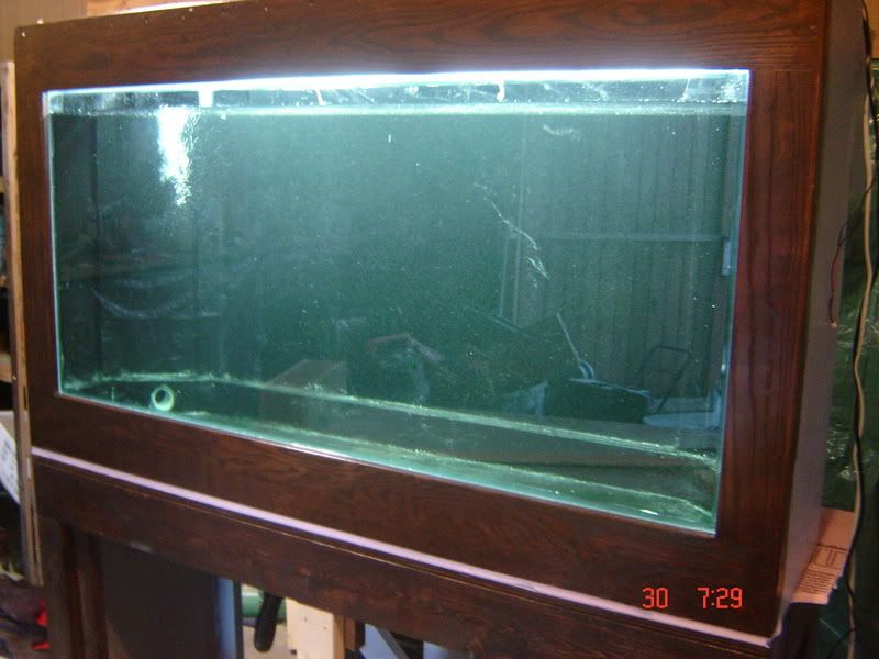 DSC02872.jpg