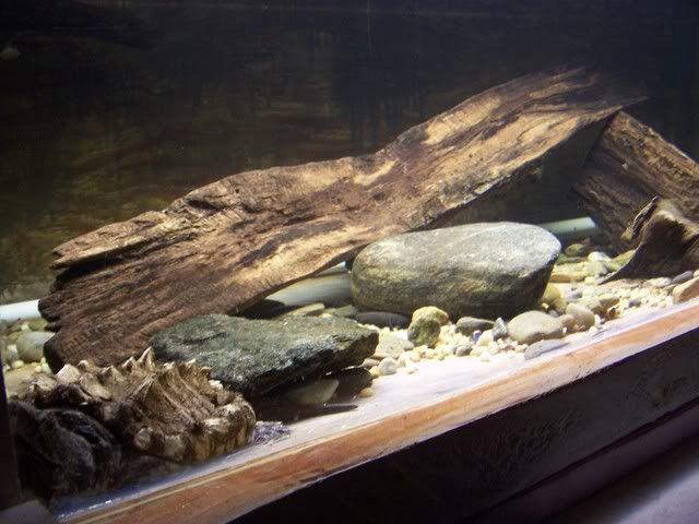 Picture008.jpg