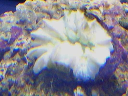 bubble_0707.jpg