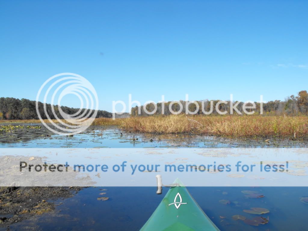 DSCF9021.jpg