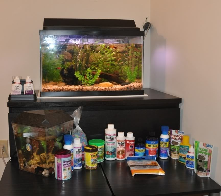 FishTank.jpg