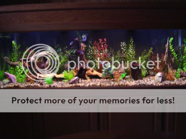 CopyofDSC01163.jpg