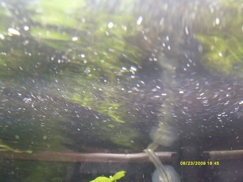 S7300691.jpg