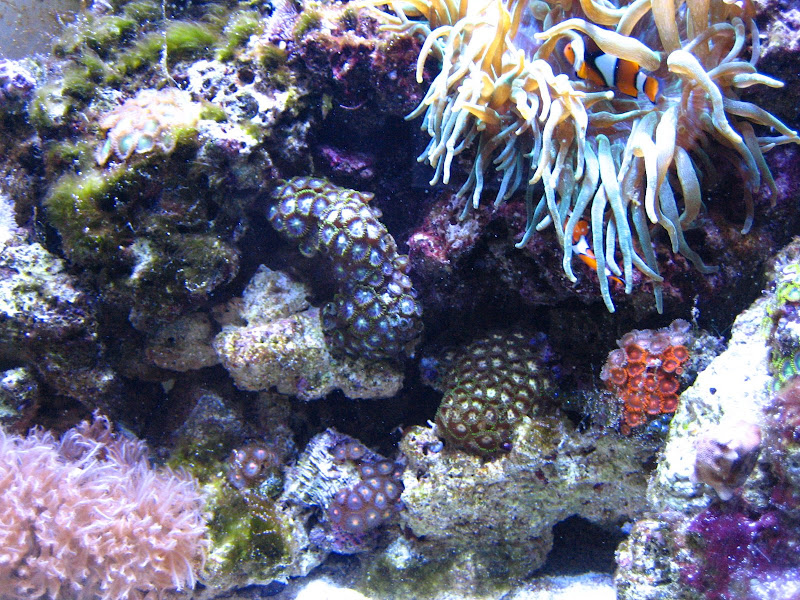 IMG_3222.jpg
