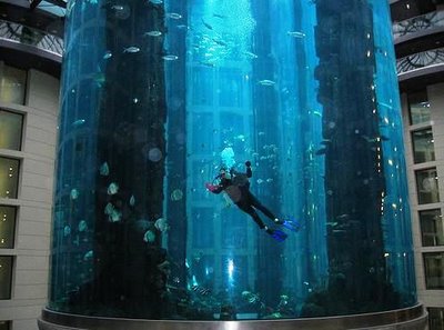 fishtank1.jpg