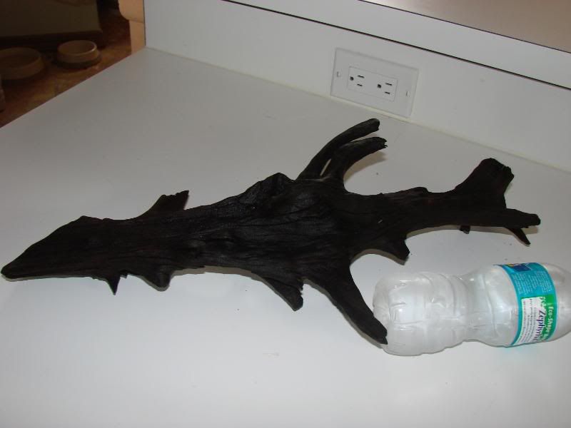 DWpieces010.jpg