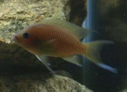 male3.jpg