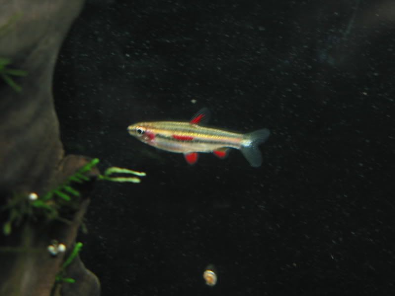 IMG_5415.jpg
