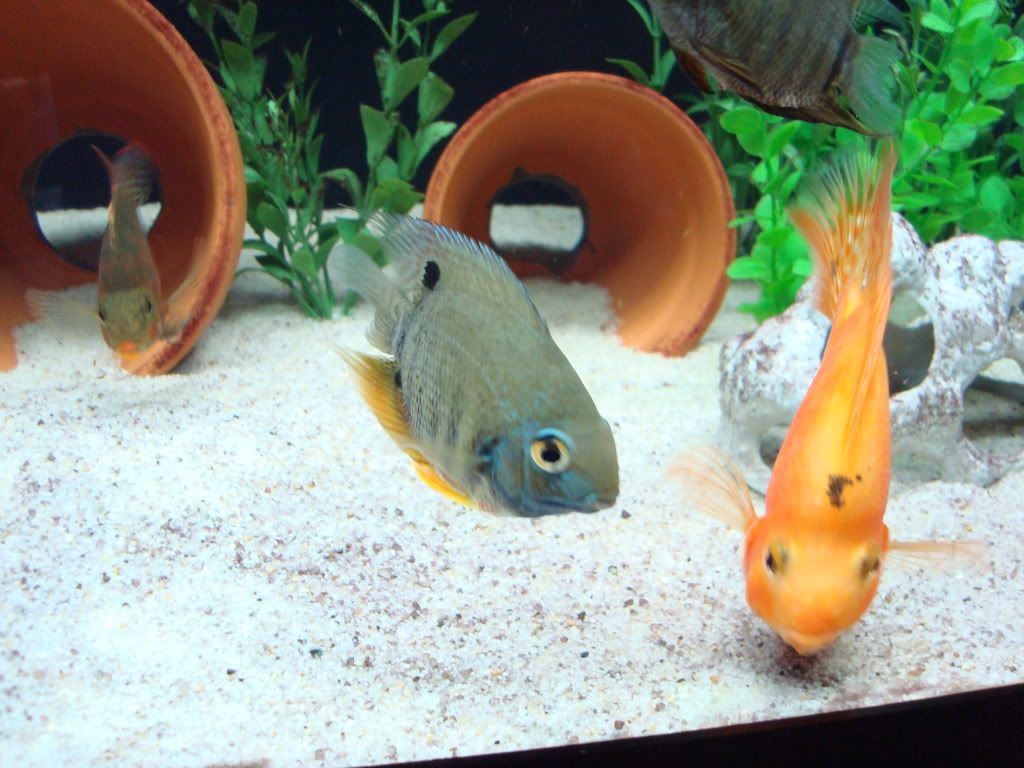 DSC07858.jpg