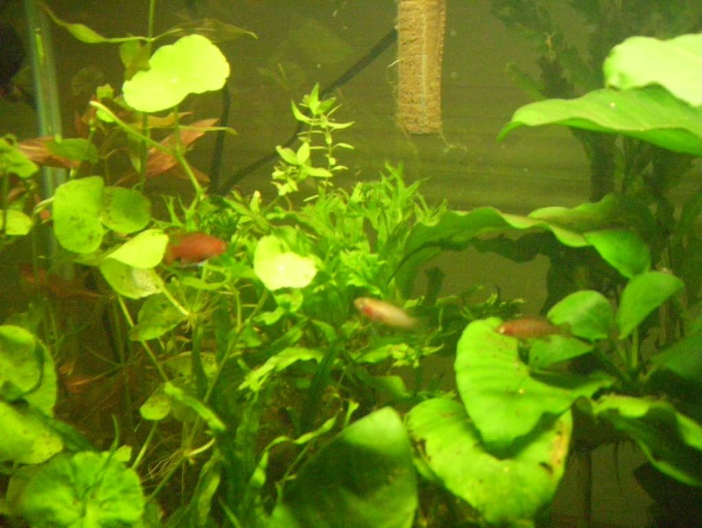 100_4661.jpg