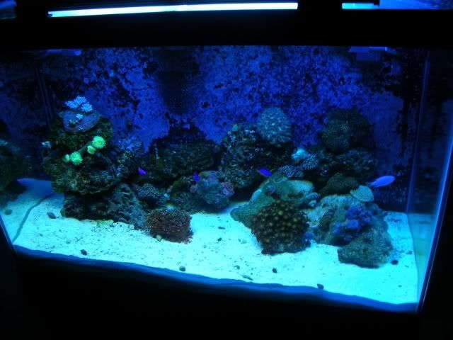 65gal27dec06.jpg