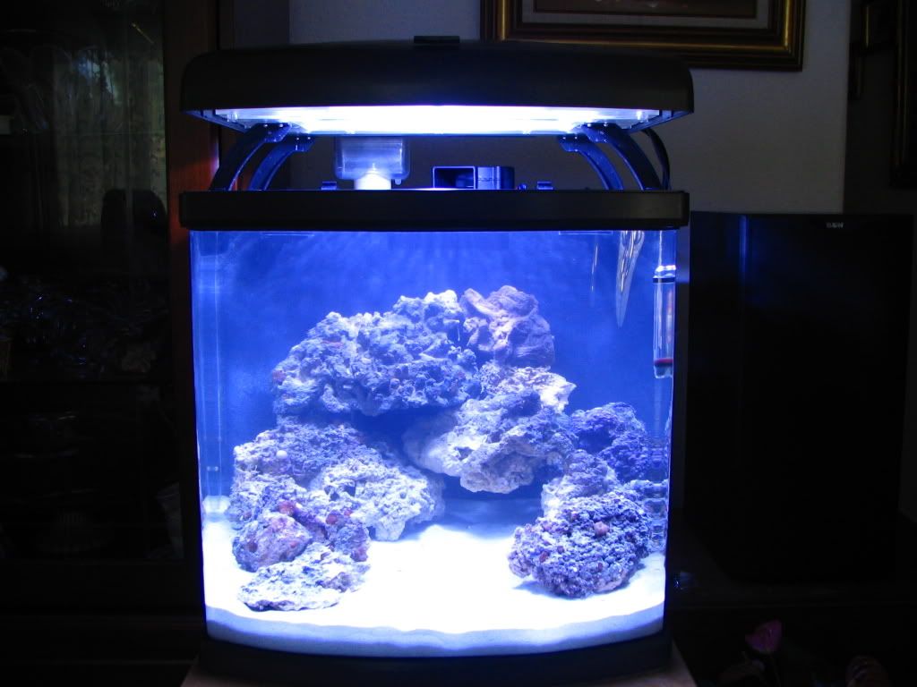 Picture1214.jpg