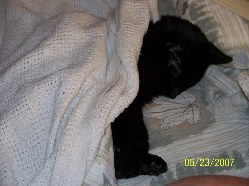 penelopeinbed.jpg