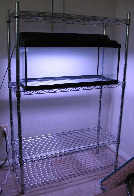 Shelf2.jpg