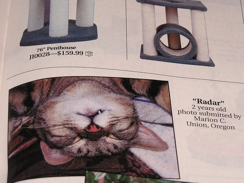 111405RadarMagazine023.jpg