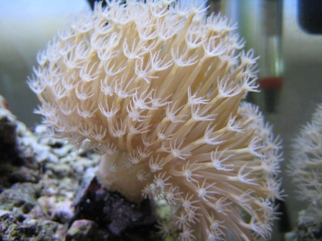 IMG_0965.jpg