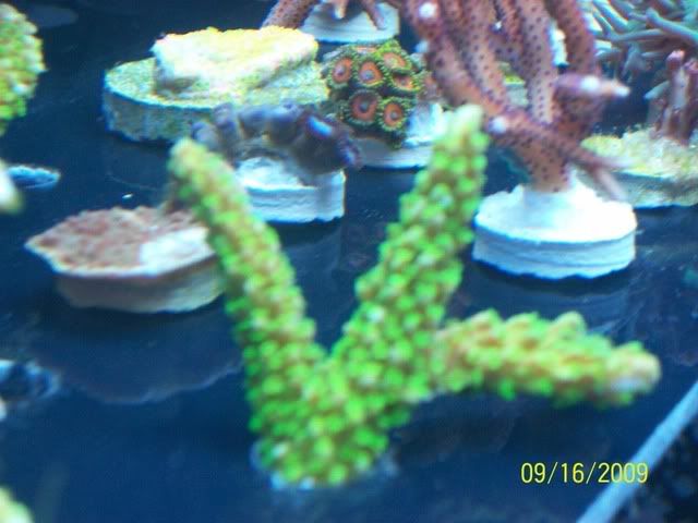 100_2260.jpg
