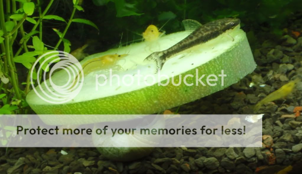 zucshot_0716.jpg