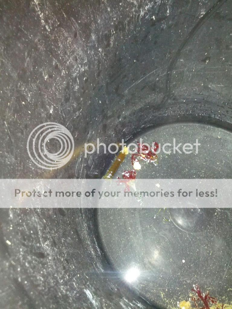 IMG952012112495220042.jpg