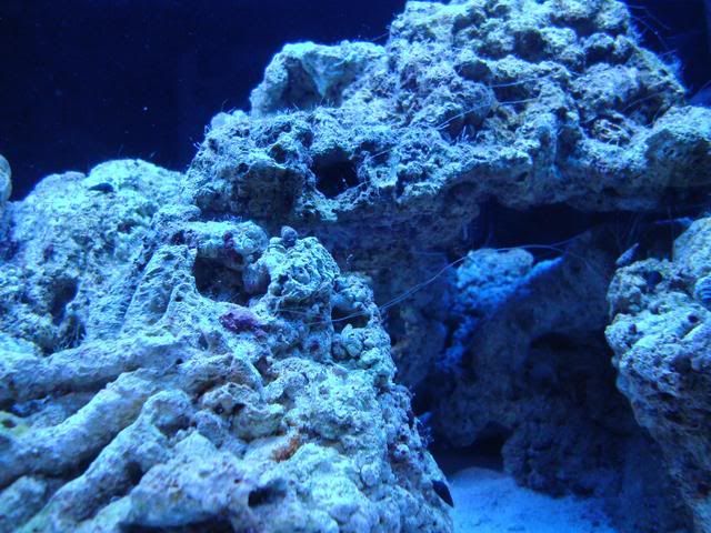 CaymanIsland076.jpg