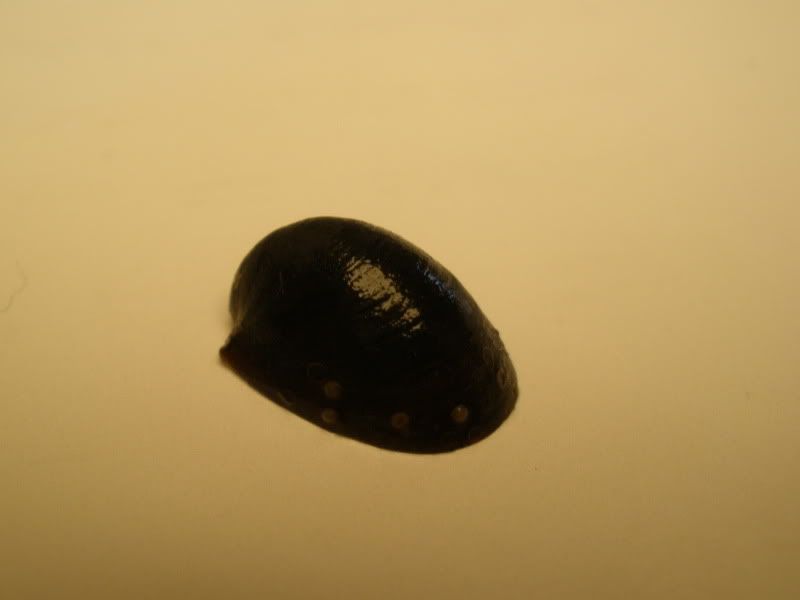 batmannerite01.jpg