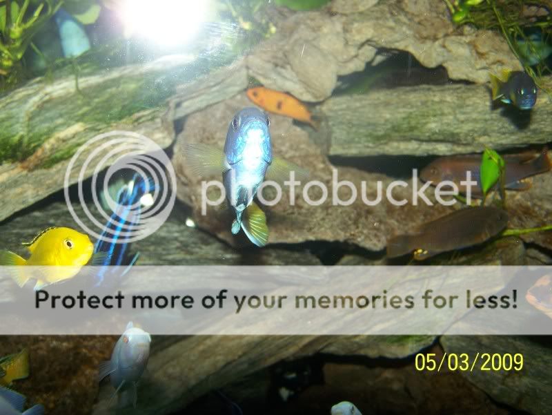 100_1523.jpg