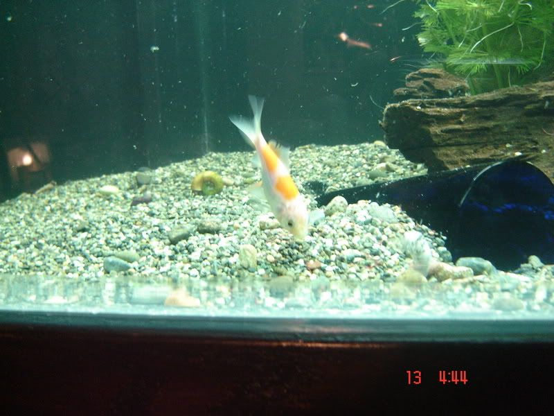 DSC03095.jpg