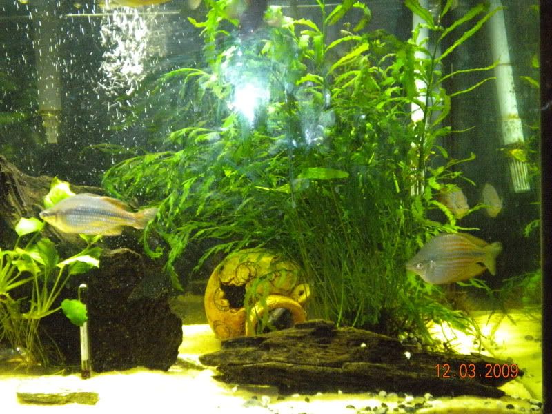 DSCN0096.jpg