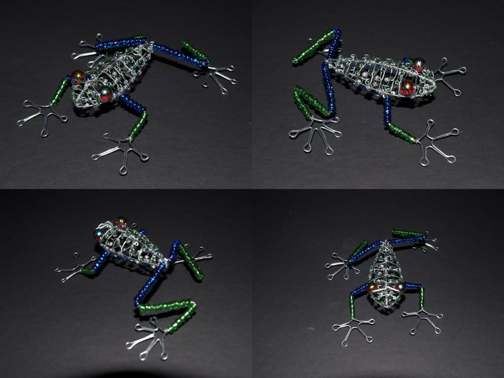 redeyetreefrog.jpg