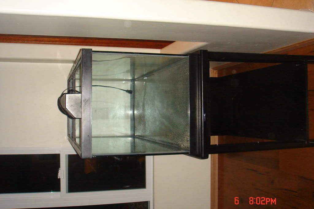 DSC01764.jpg