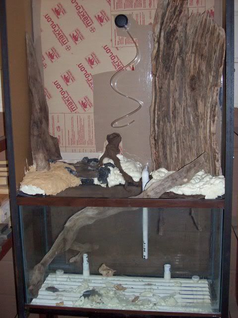 WilliamsburgMaritimeMuseum122.jpg